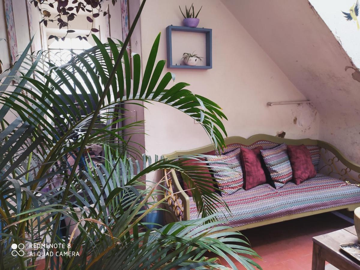 Casa Atenas (Adults Only) Гвадалахара Экстерьер фото
